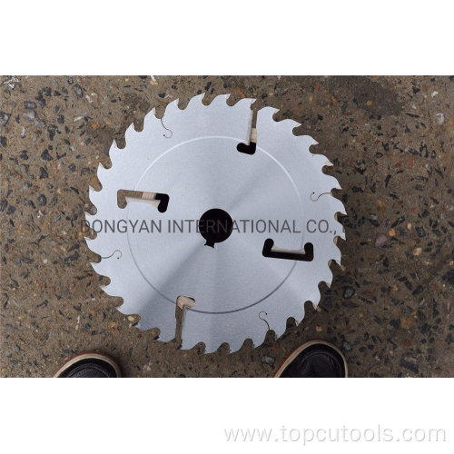 Tct Multi-Ripping Saw Blade with Rakes
